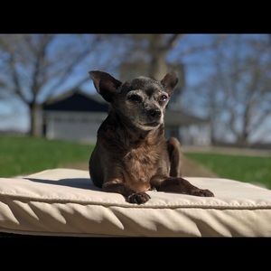 Meet your Posher, Brigitte